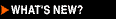 What�s New? on the Official Scientology Sites