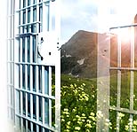 Prison bars opening to a field of flowers