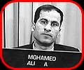 Ali A. Mohamed